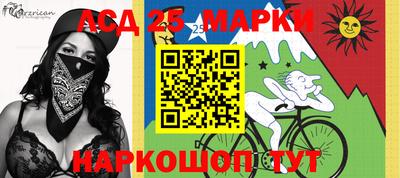 гашик Славгород