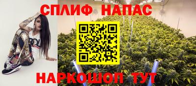 гашик Славгород