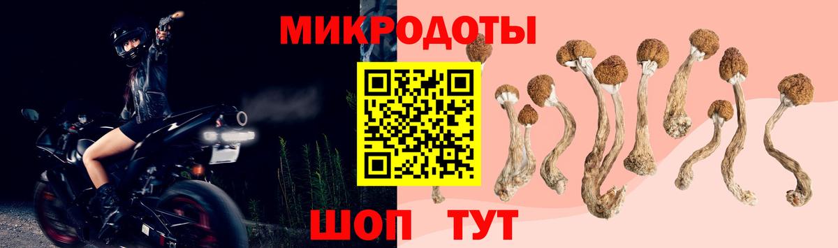 Псилоцибиновые грибы Psilocybe  Псилоцибиновые грибы Cubensis  наркошоп  Вход с VPN  Петропавловск-Камчатский 